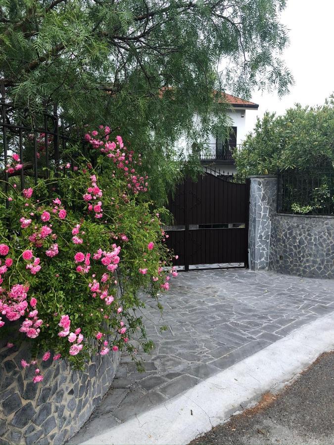 Etna Petit Relais Bed & Breakfast Nicolosi Bagian luar foto
