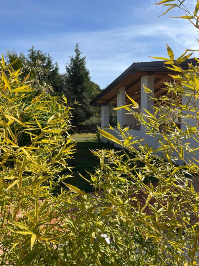 Etna Petit Relais Bed & Breakfast Nicolosi Bagian luar foto